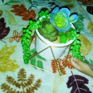 Meet your Posher, Ingrid